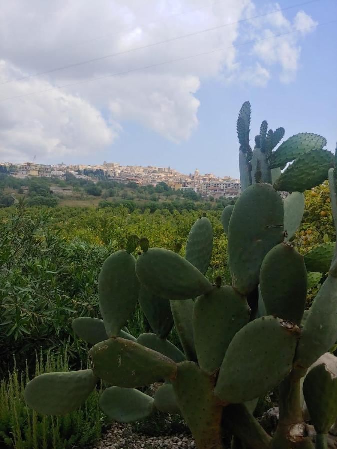 Il Primo Fiore Noto Kültér fotó